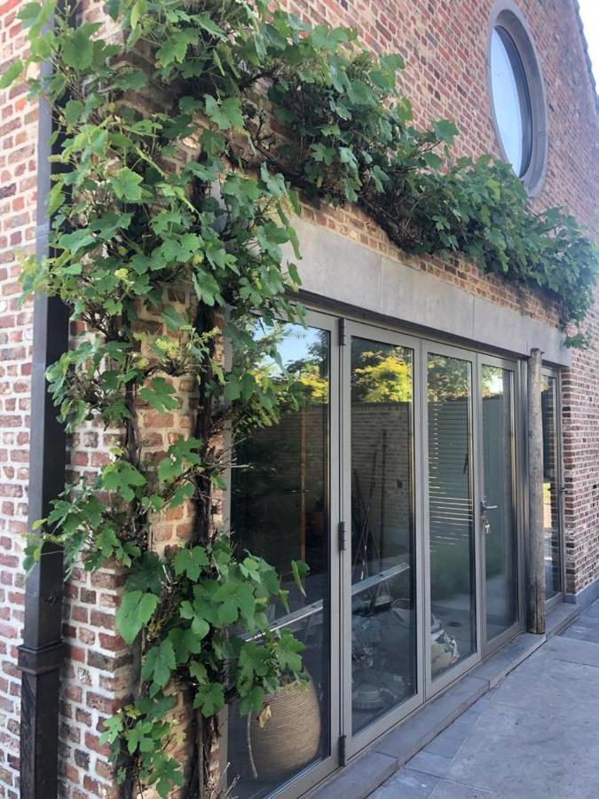 Landelijke Villa Met Zwembad En Gezellige Openhaard Zemst Eksteriør billede
